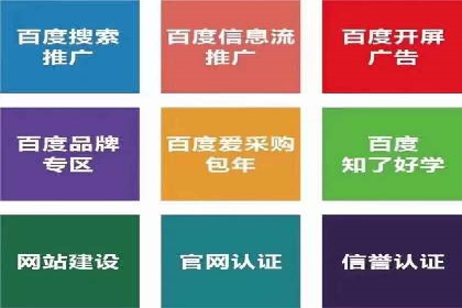 SEM主管实战：案例分析与优化策略